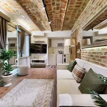 Stunning Rustic 1br W Terrace&amazing Galata View 아파트 이스탄불