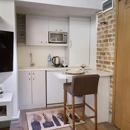 Stunning Rustic 1br W Terrace&amazing Galata View Διαμέρισμα *