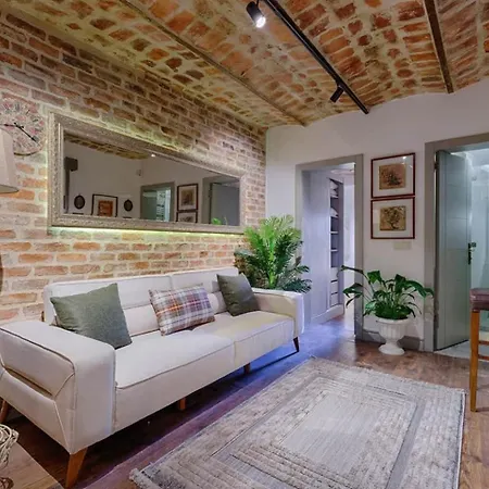 Stunning Rustic 1br W Terrace&amazing Galata View Διαμέρισμα Κωνσταντινούπολη